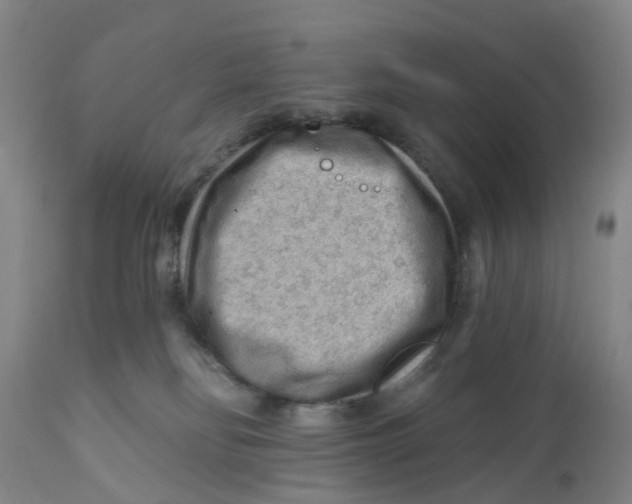 X0000111940134200908241149