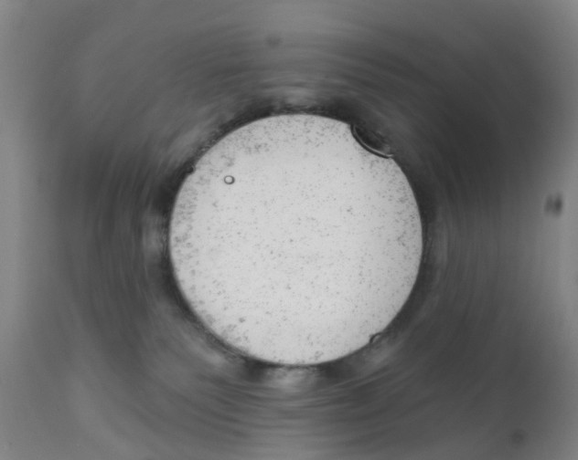 X0000111940135200908241149