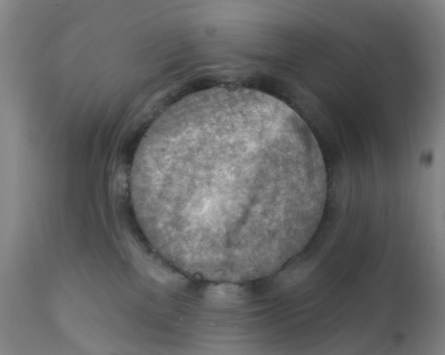 X0000111940137200908241149