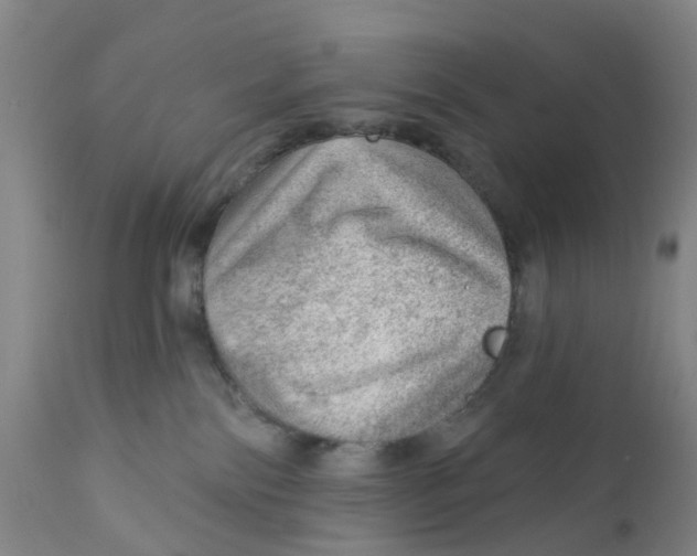 X0000111940138200908241149