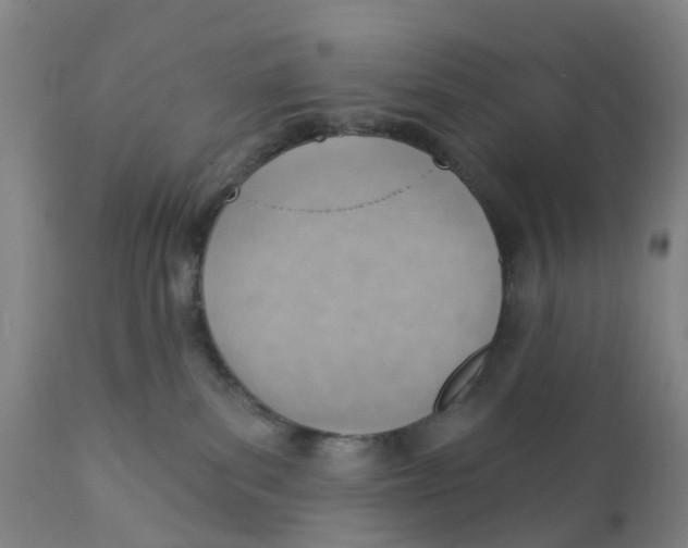 X0000111940139200908241149