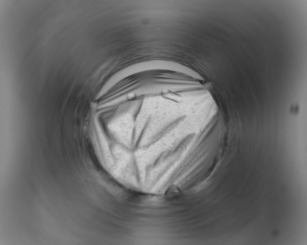 X0000111940140200908241149