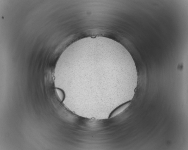 X0000111940142200908241149