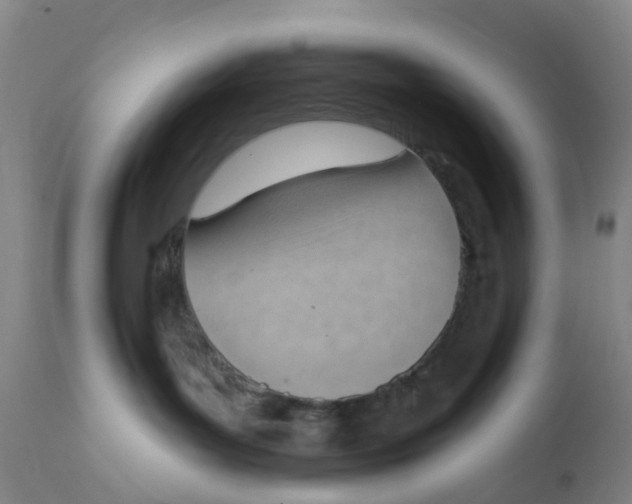X0000111940143200908241149