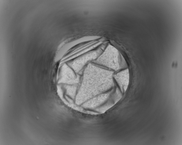 X0000111940144200908241149