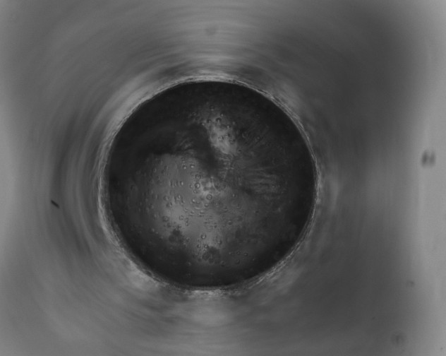 X0000111940145200908241148