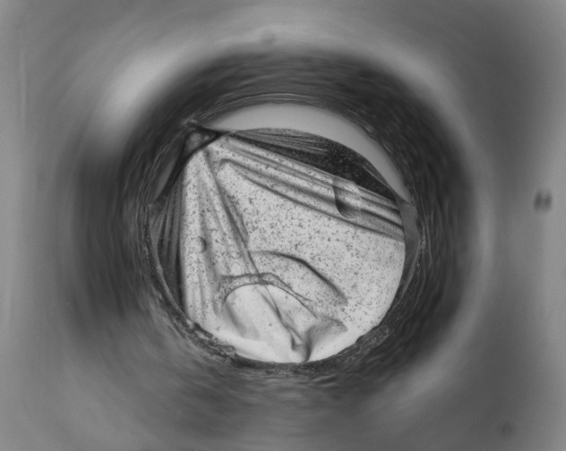 X0000111940146200908241148