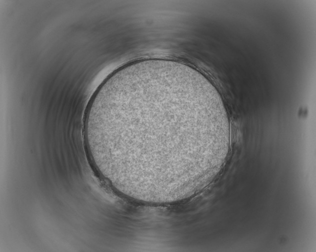 X0000111940147200908241148