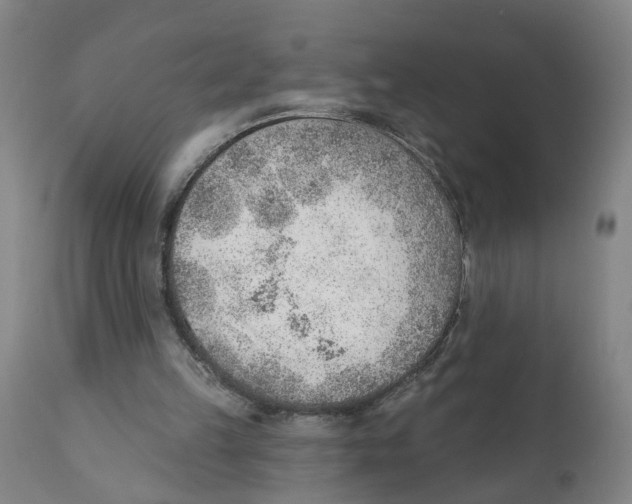 X0000111940149200908241149
