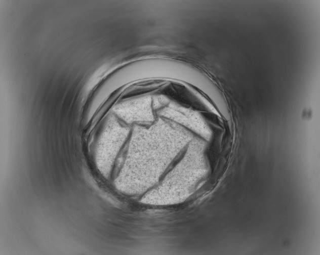X0000111940150200908241149