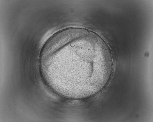 X0000111940151200908241149