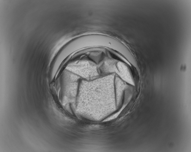 X0000111940152200908241149