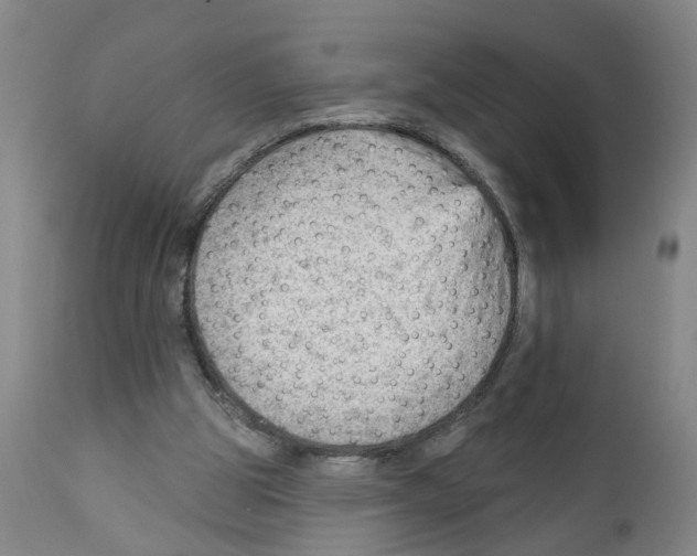X0000111940153200908241149
