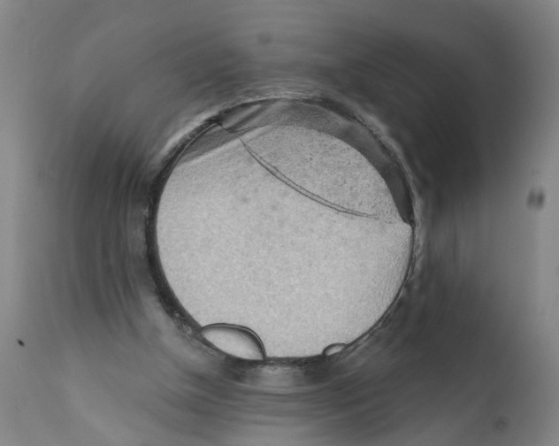 X0000111940154200908241149