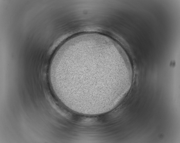 X0000111940155200908241149