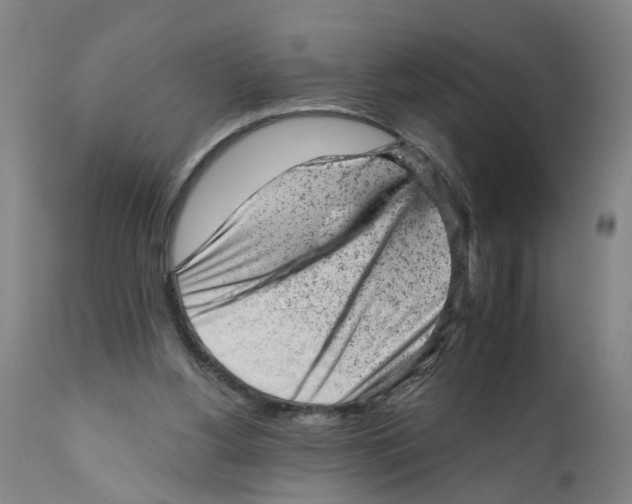 X0000111940156200908241149