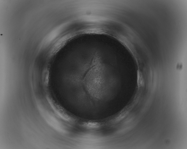 X0000111940157200908241149