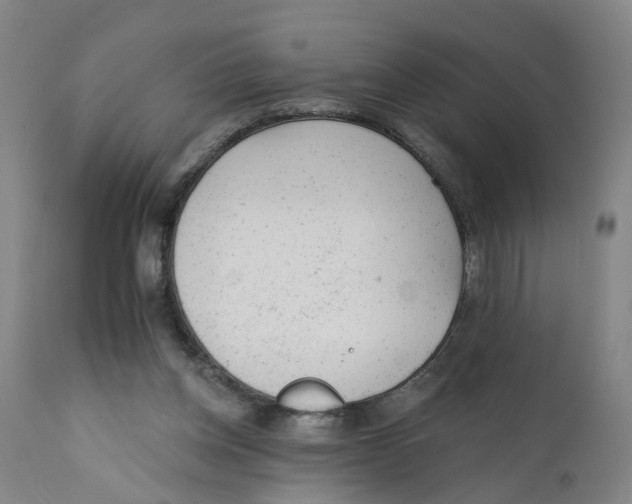 X0000111940158200908241149