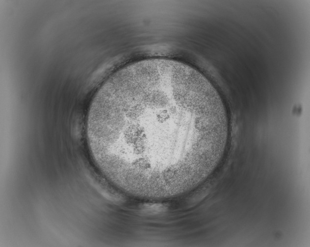 X0000111940161200908241149