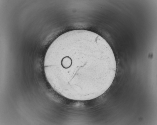 X0000111940162200908241149