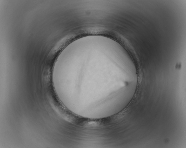 X0000111940163200908241149