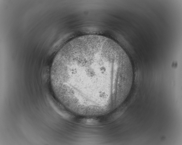 X0000111940165200908241149