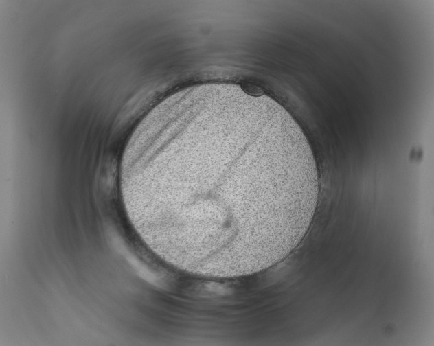 X0000111940166200908241149