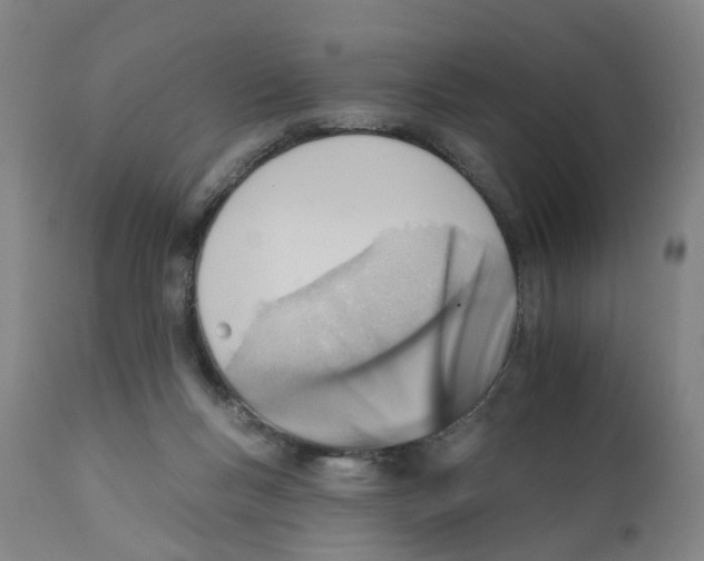 X0000111940167200908241149