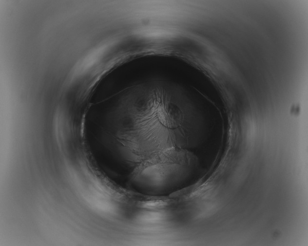 X0000111940168200908241149