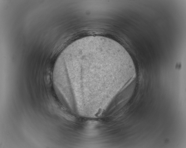 X0000111940169200908241149