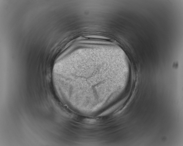 X0000111940170200908241149
