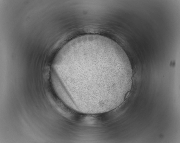 X0000111940171200908241149
