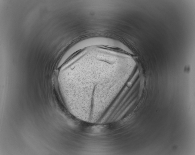 X0000111940172200908241149