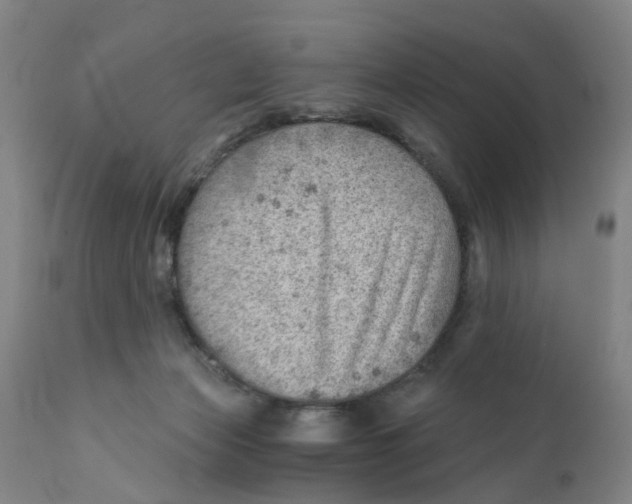 X0000111940173200908241149