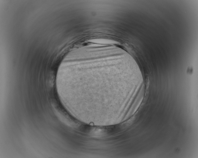 X0000111940174200908241149