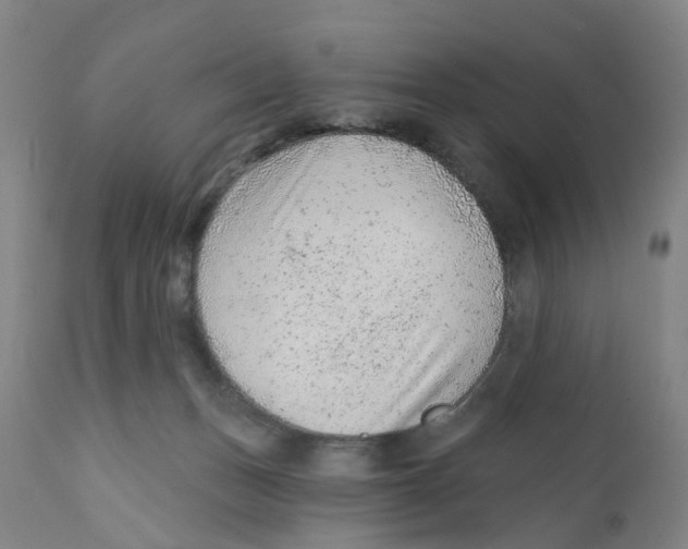 X0000111940175200908241149