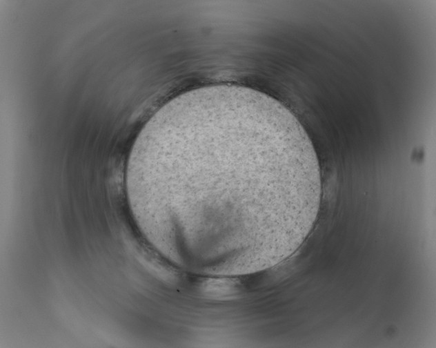 X0000111940179200908241149