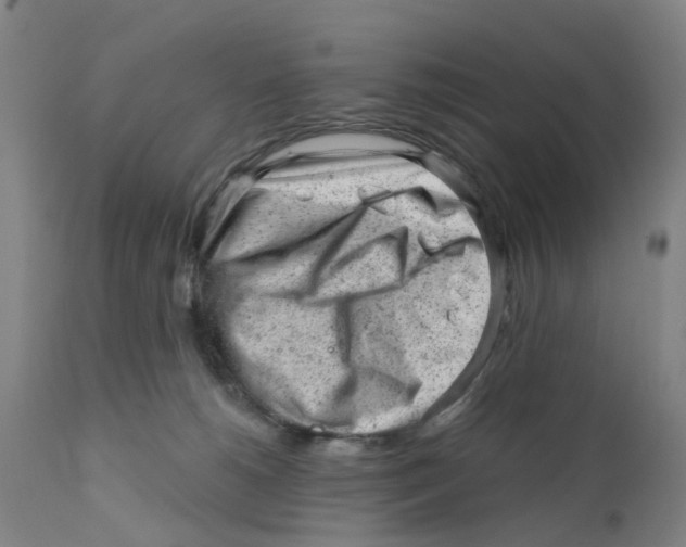 X0000111940180200908241149