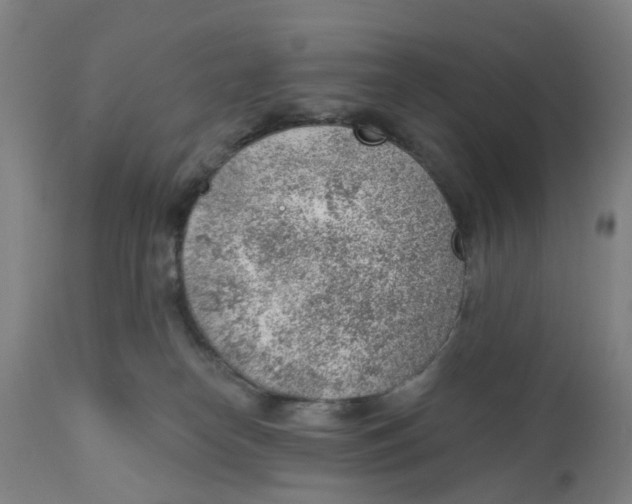 X0000111940182200908241149