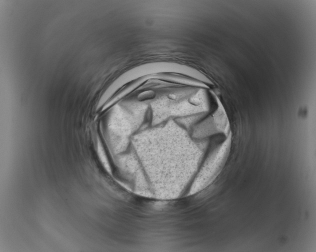 X0000111940184200908241149