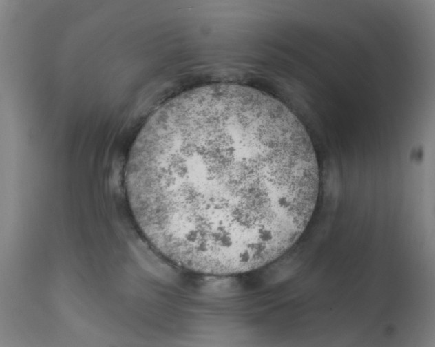X0000111940185200908241149