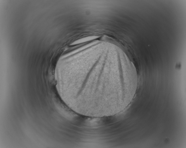 X0000111940186200908241149