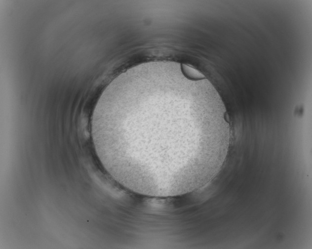 X0000111940187200908241149