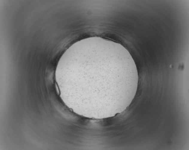 X0000111940188200908241149