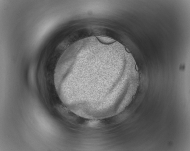X0000111940189200908241149