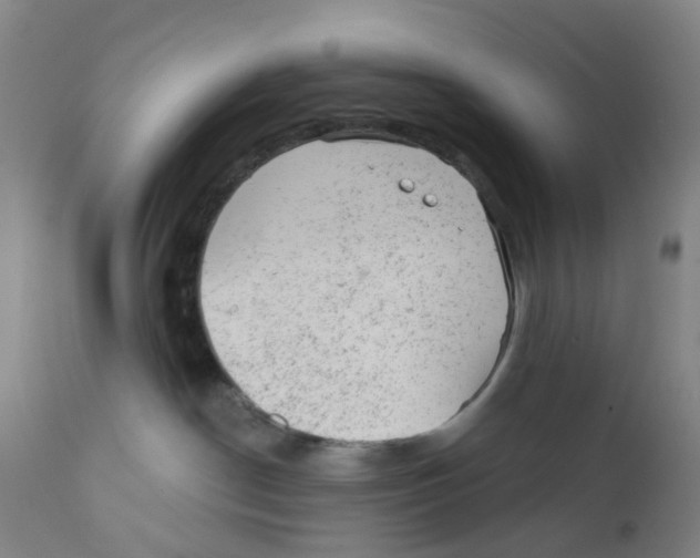 X0000111940190200908241149