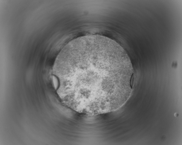 X0000111940191200908241149