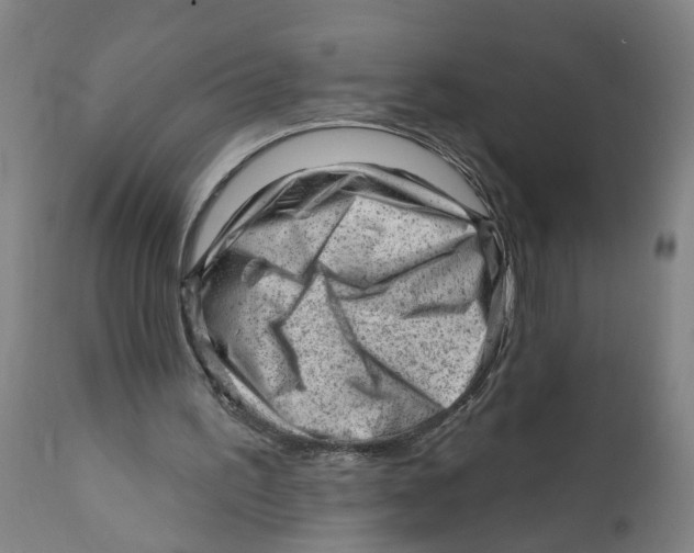 X0000111940195200908241148