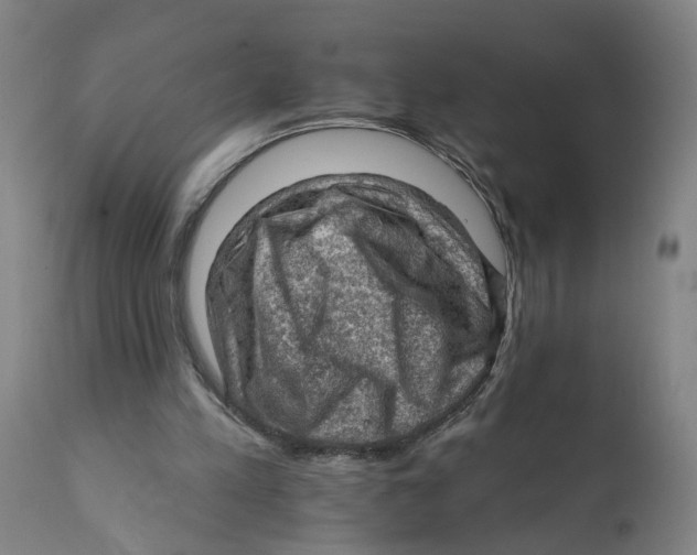 X0000111940197200908241148