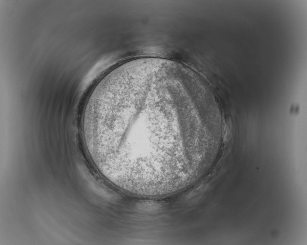 X0000111940198200908241148